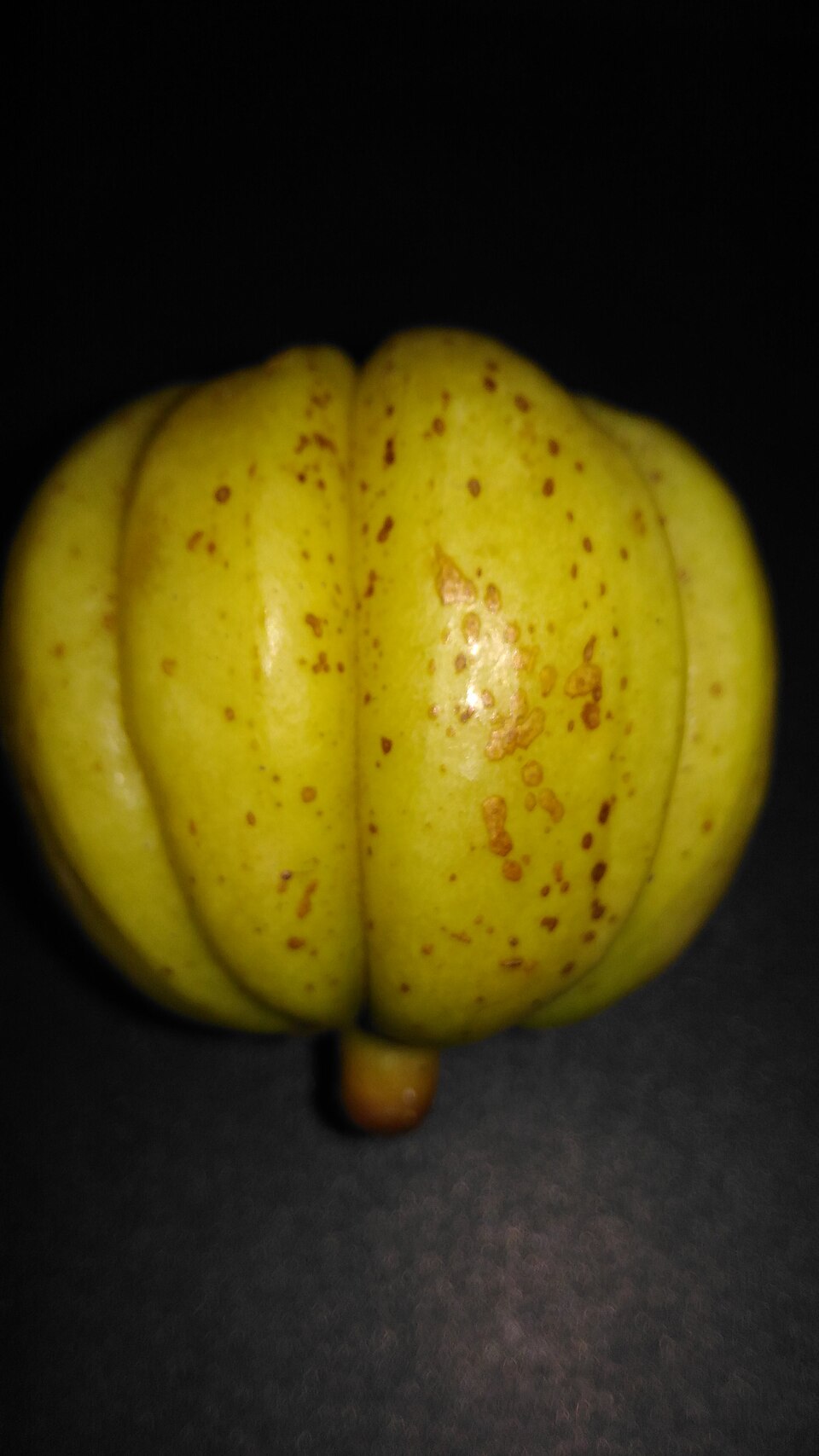 Vrikshamla (Garcinia)