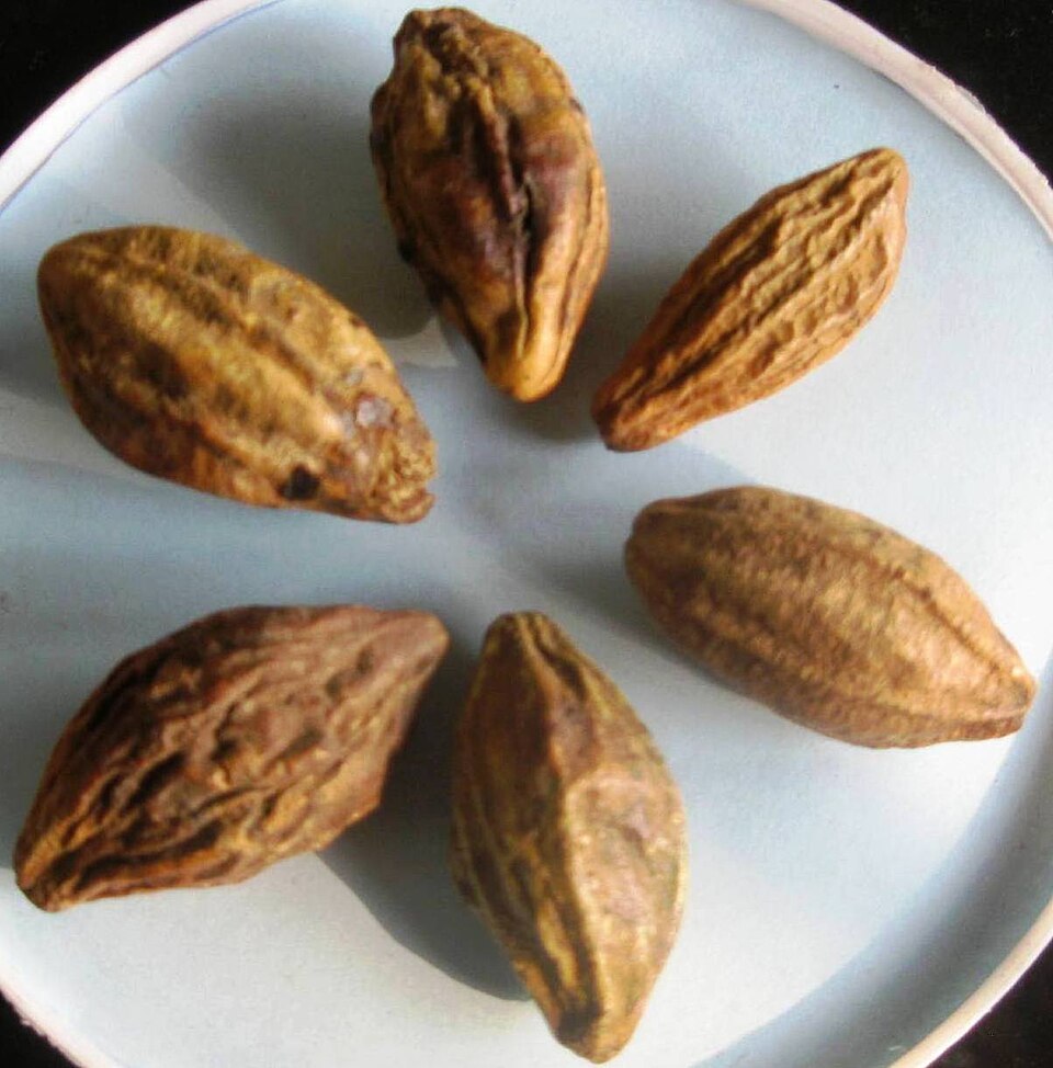 Triphala